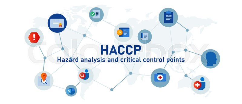 More information about "Understanding Basic HACCP - Level 3 food safety guidance"